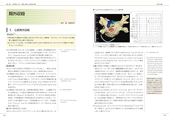 不整脈 識る・診る・治す (循環器内科専門医バイブル) [単行本] 平尾見三; 小室一成 不整脈 識る・診る・治す (循環器内科専門医バイブル) | 平尾見